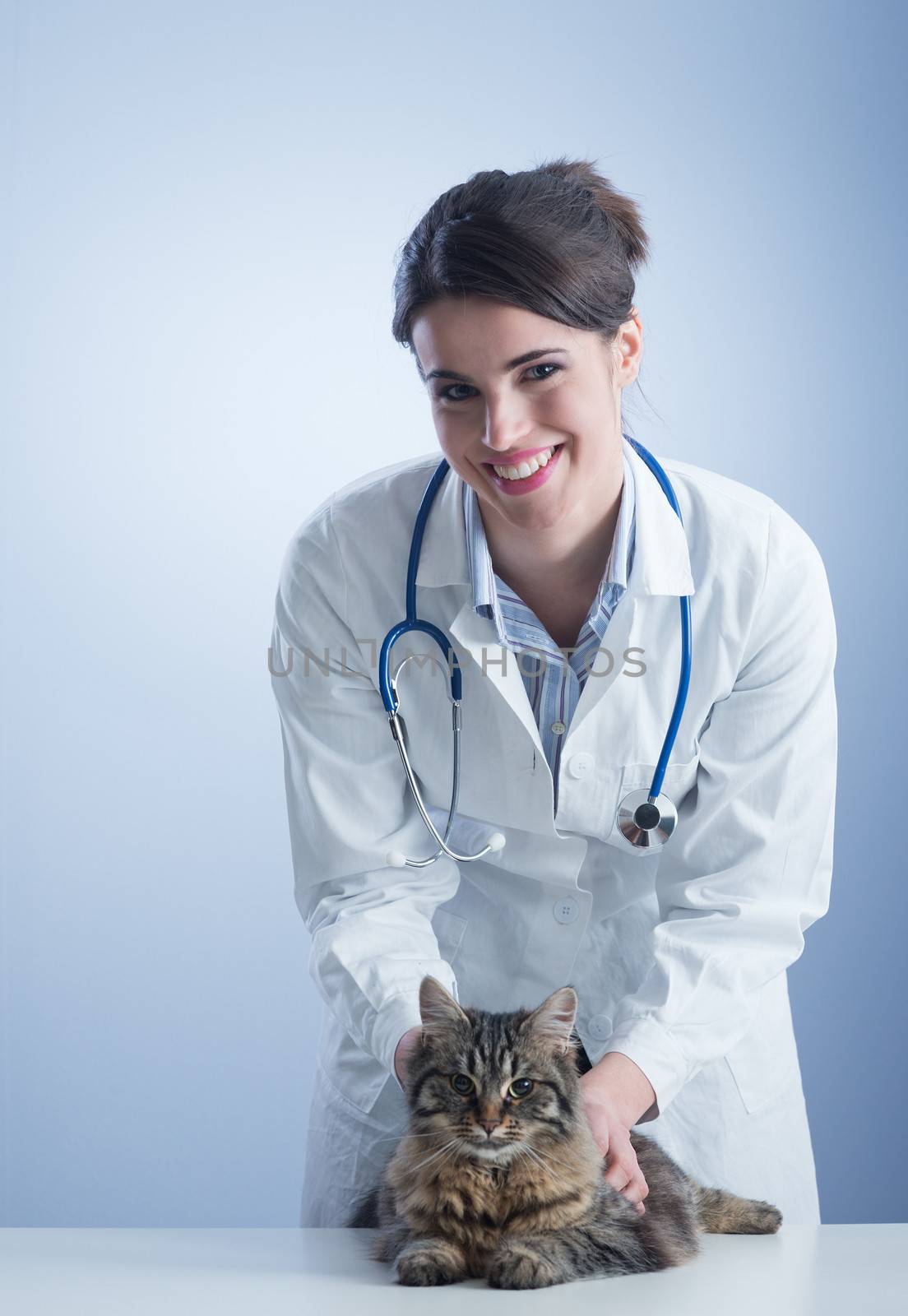 Beautiful female veterinary holding a long hair cat.