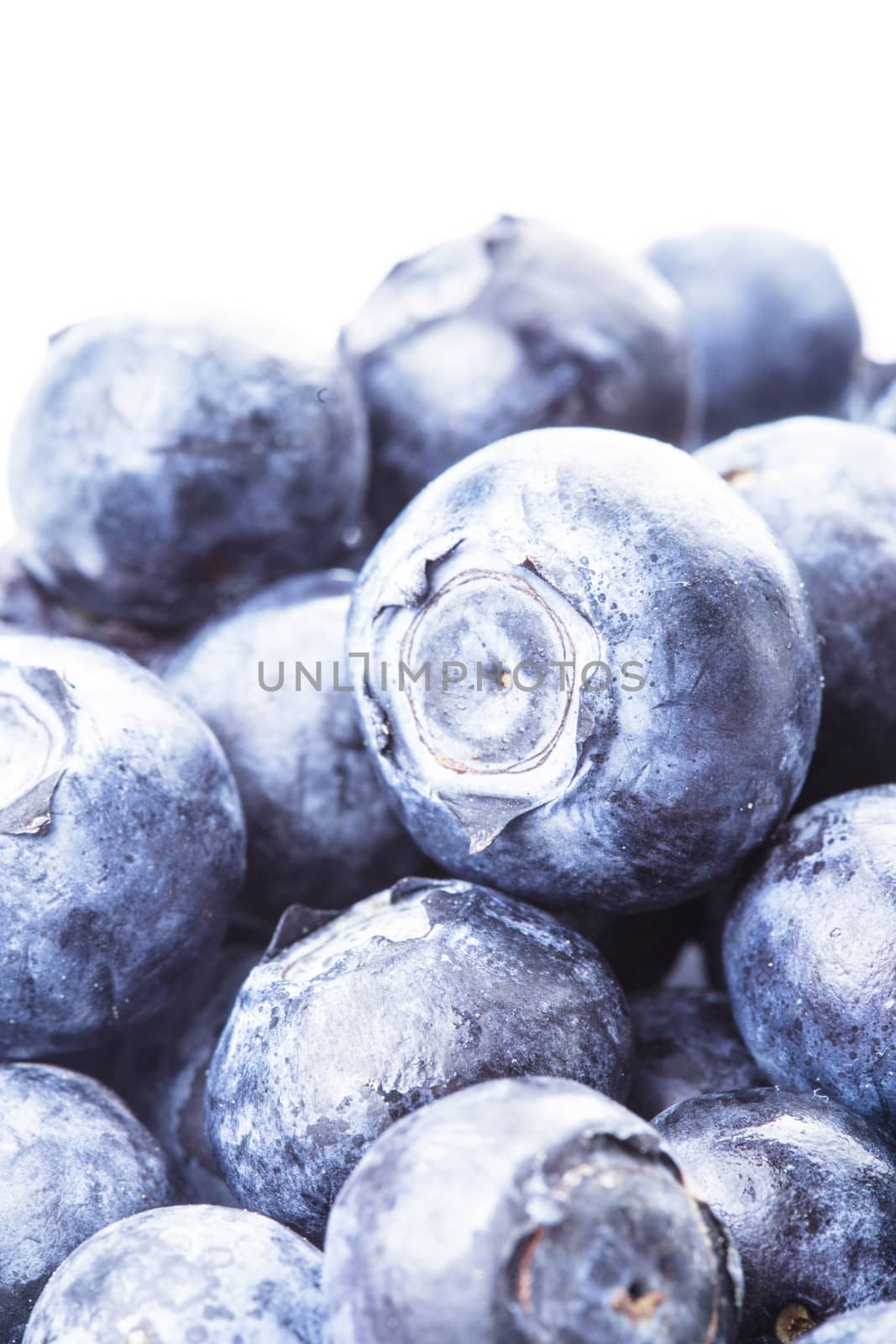 Blueberry by oksix