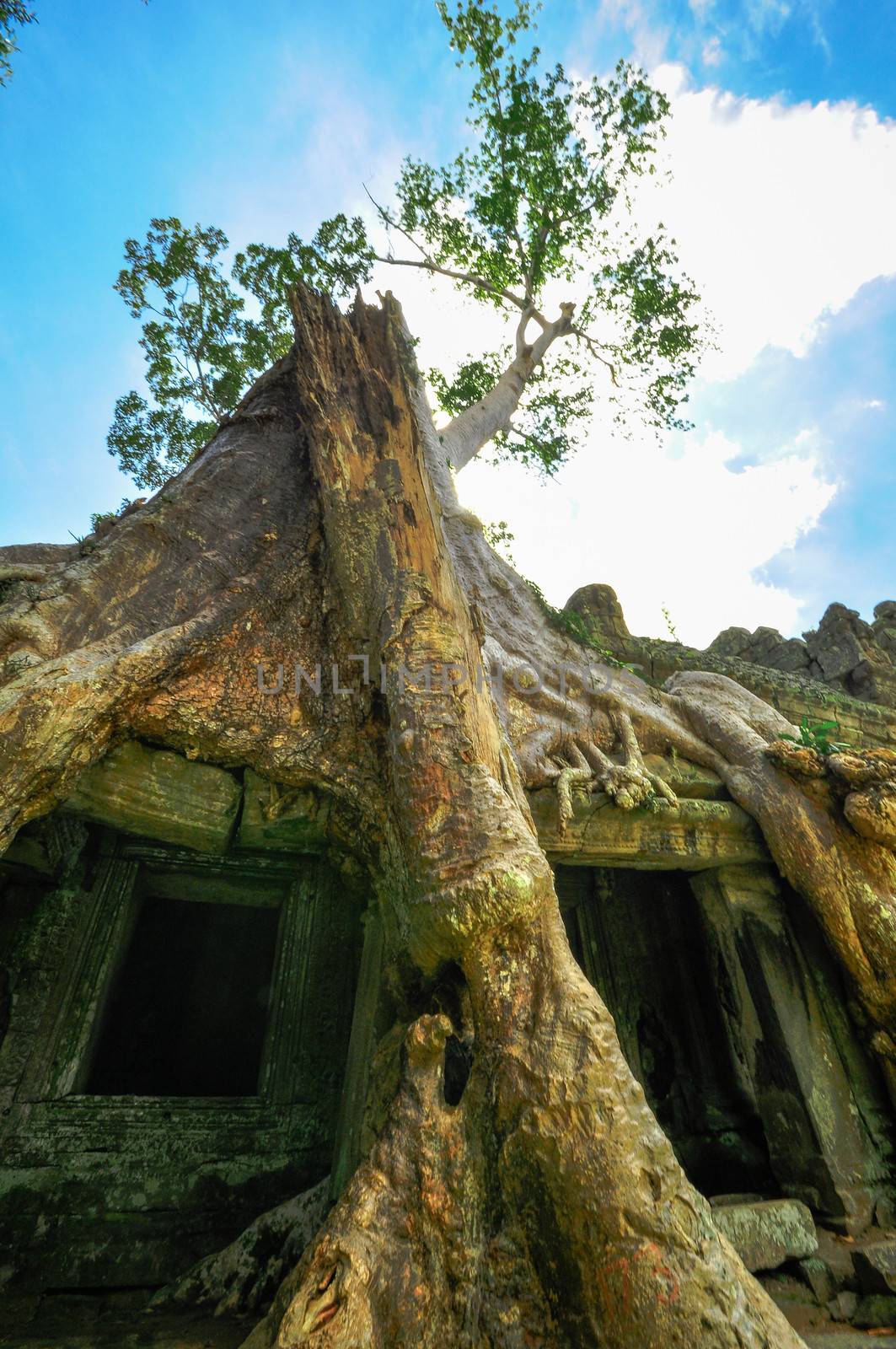 Ancient buddhist khmer temple in Angkor Wat complex, Siem Reap Cambodia Asia