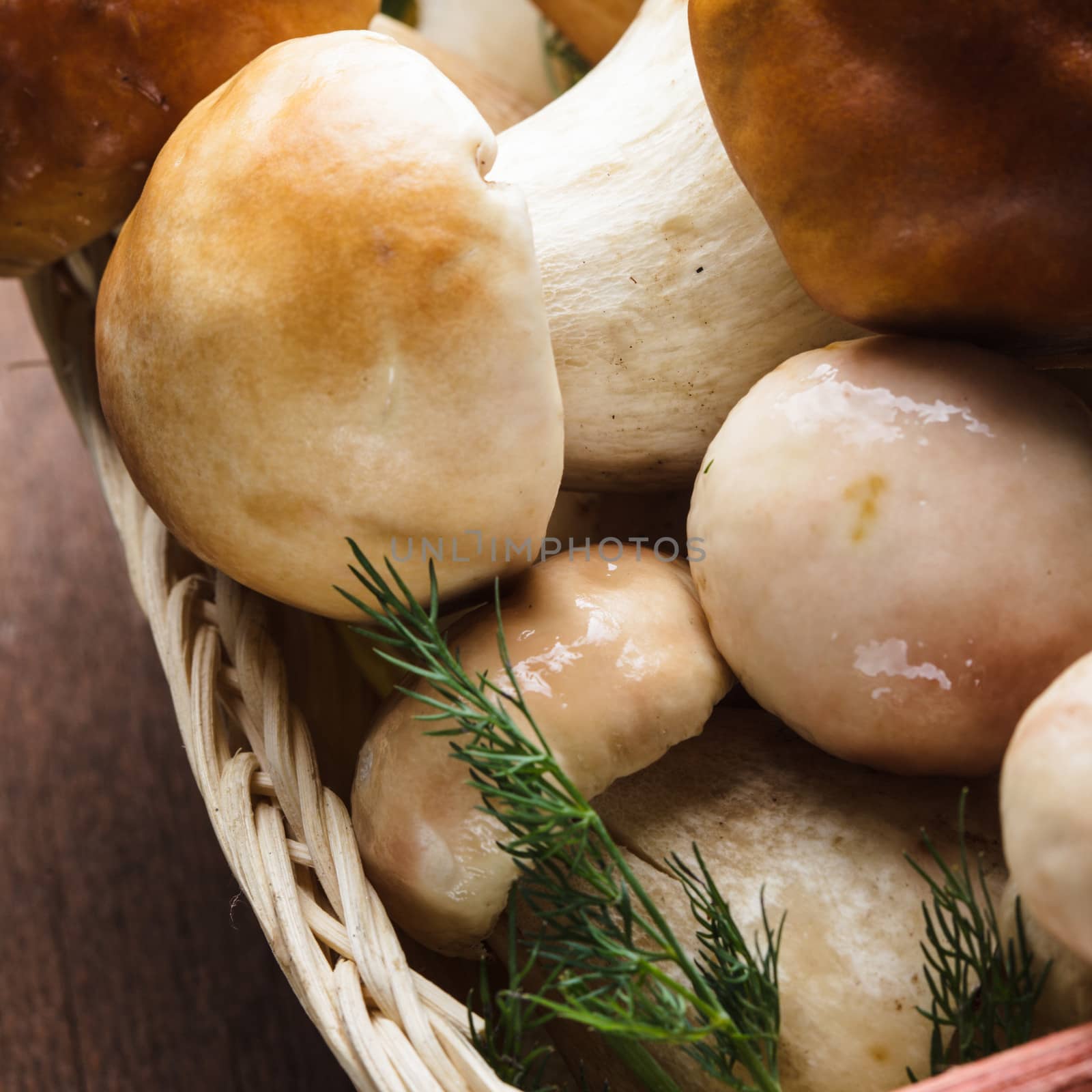 Ceps in the basket prepared for cooking on the table