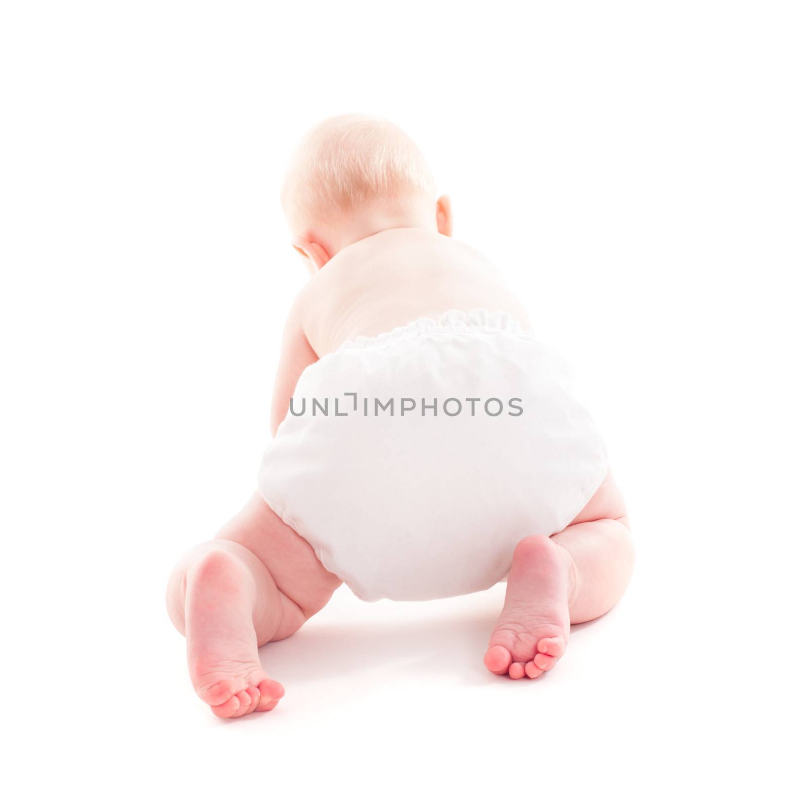 Adorable 6 month baby crawling isolated on white with copy space