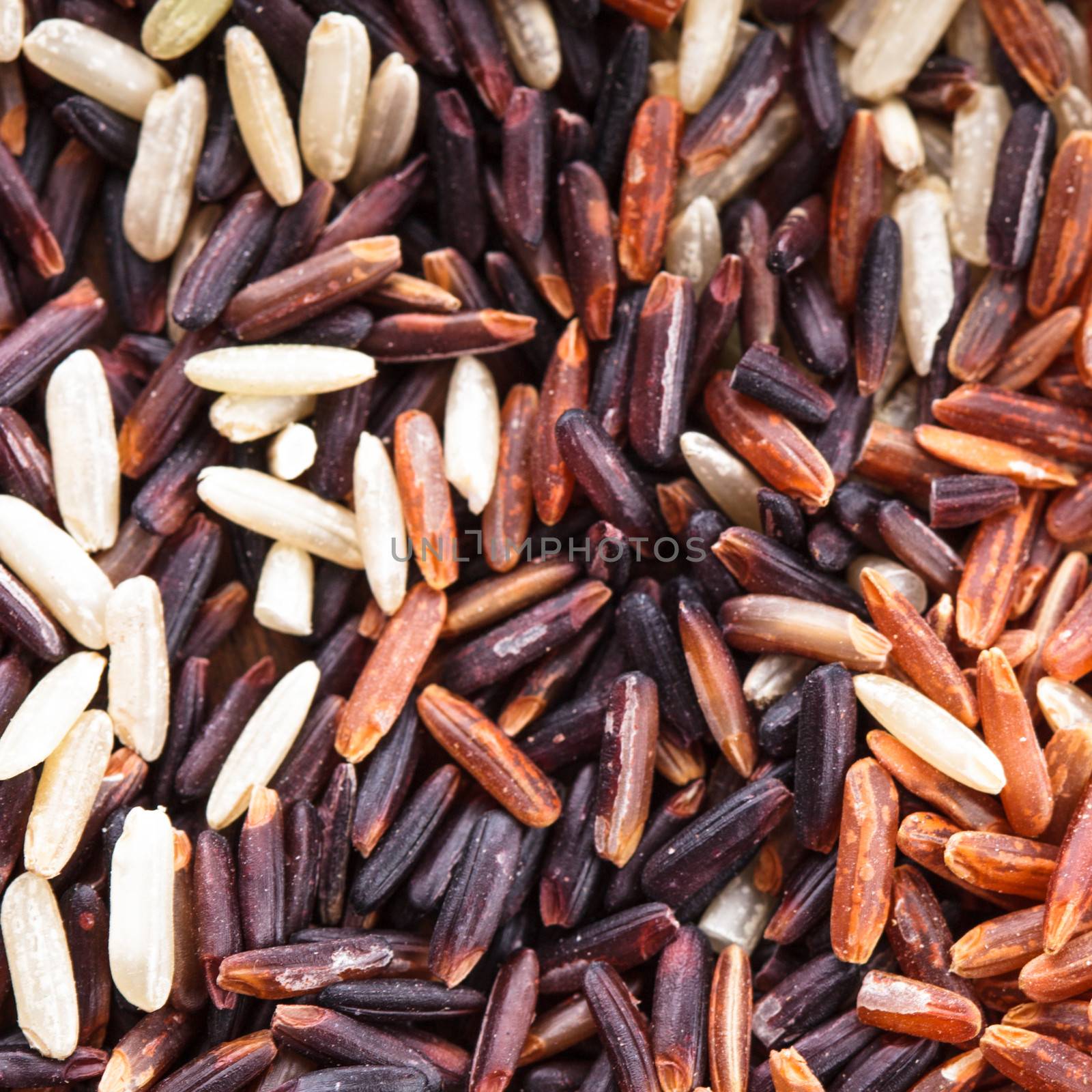 Healthy scattered rice variety: brown, red and wild black