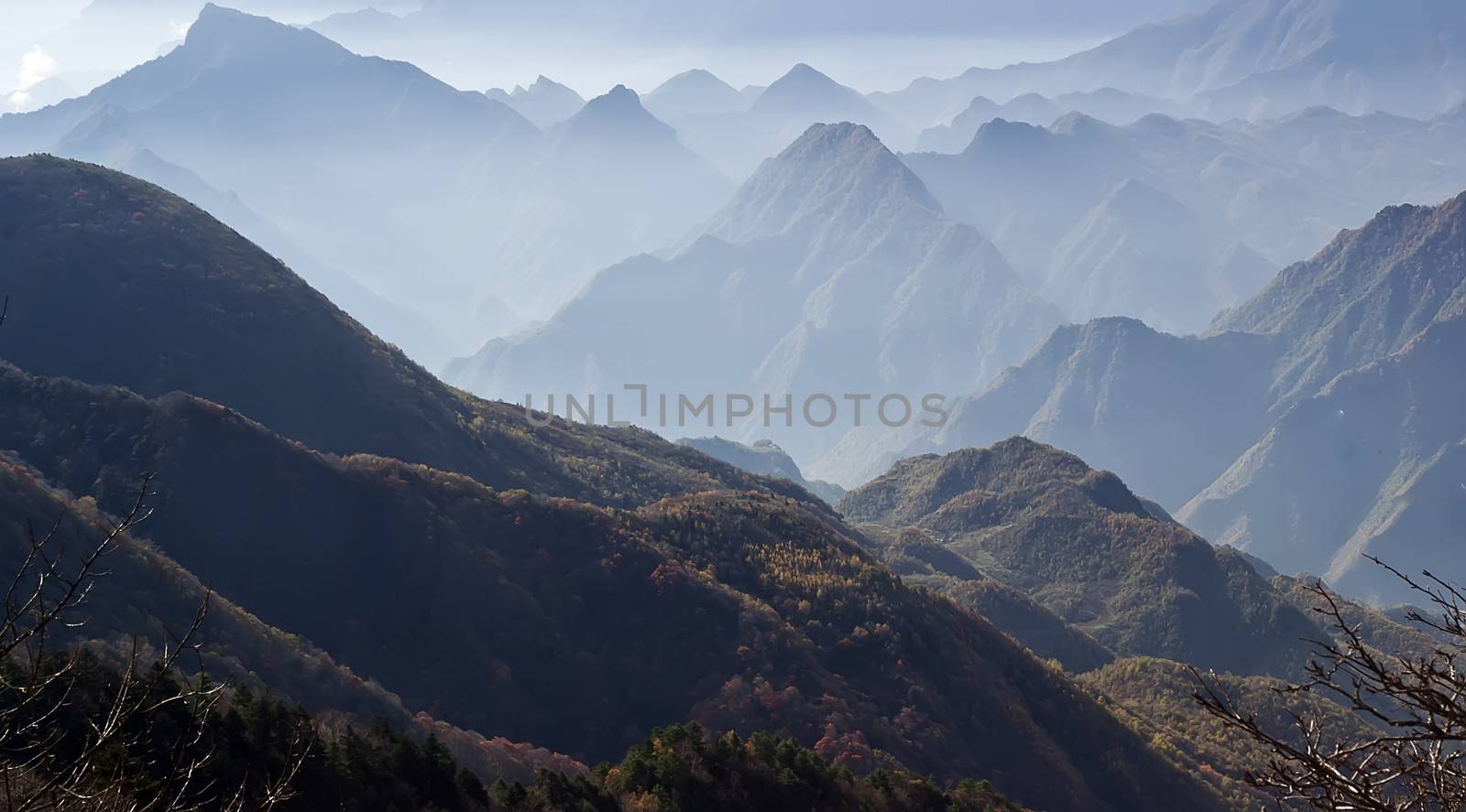 Mountain peaks. Tree. Clouds - Shennongjia beauty by xfdly5
