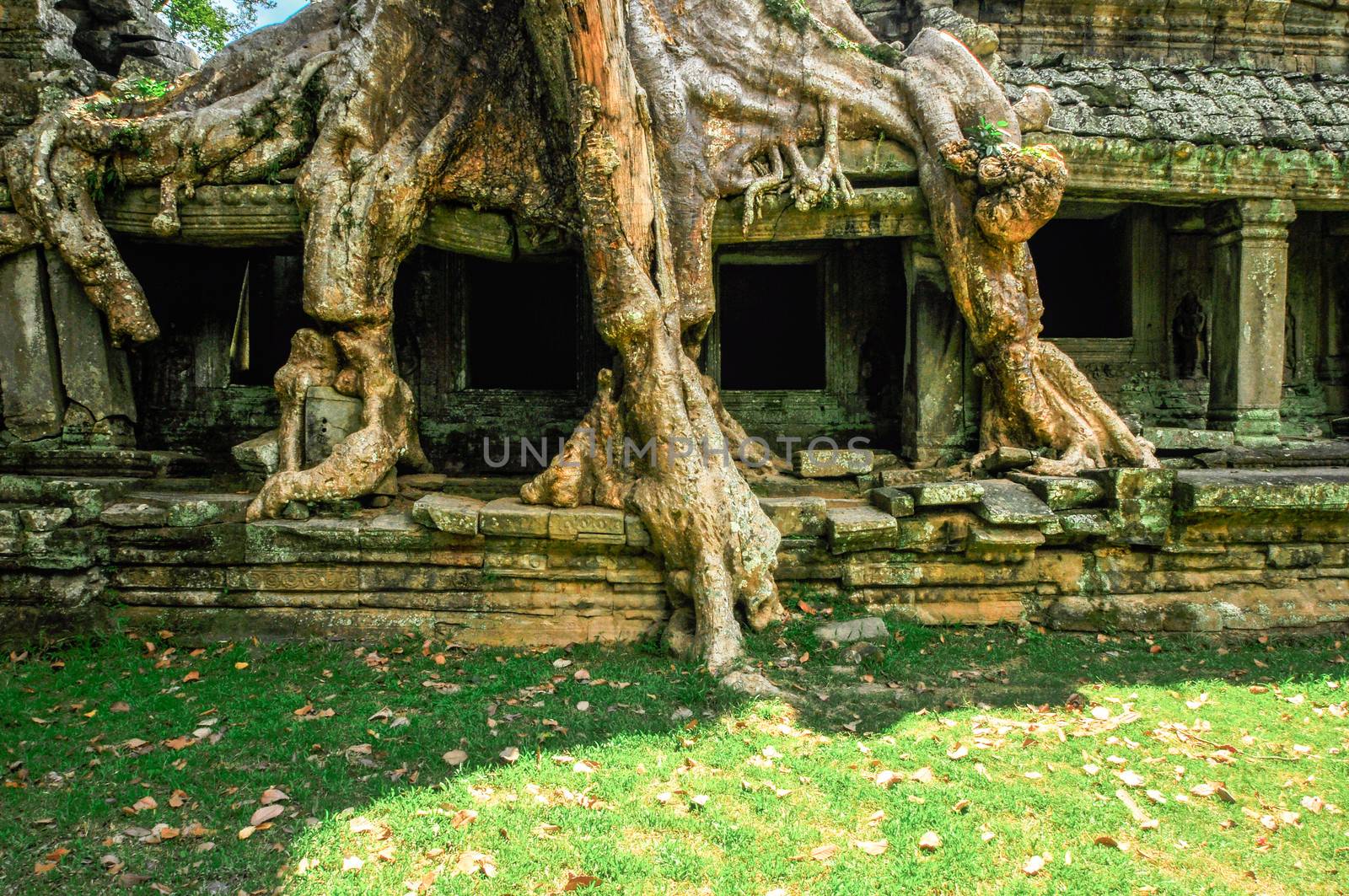 Ancient buddhist khmer temple in Angkor Wat complex, Siem Reap Cambodia Asia