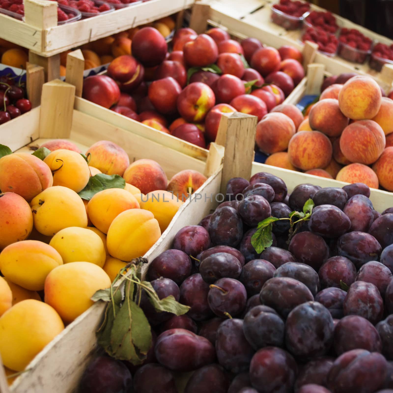 Fruits on the market by oksix