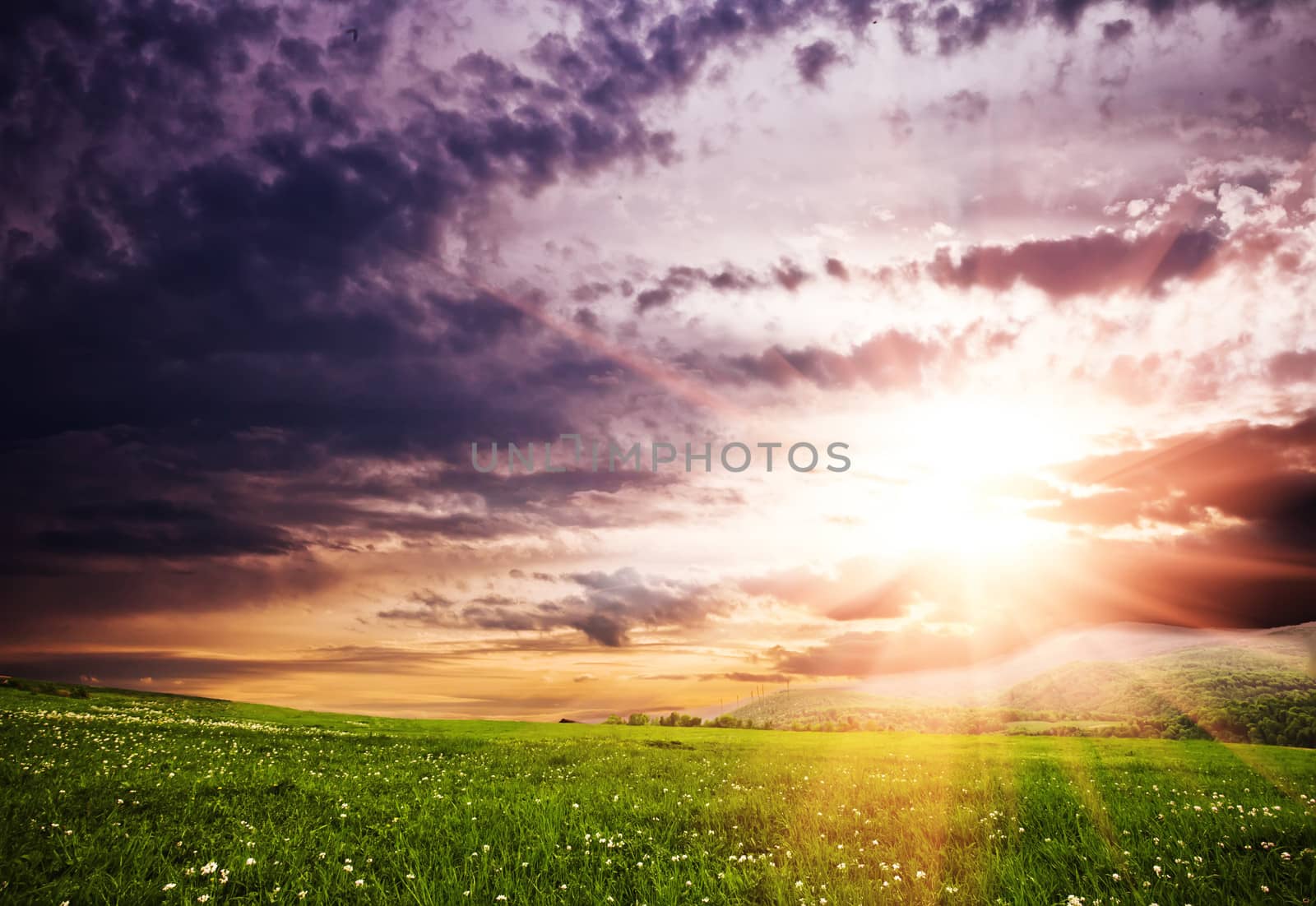 Sunset in Carpathians mountains over green hills. Beauty world. Ukraine