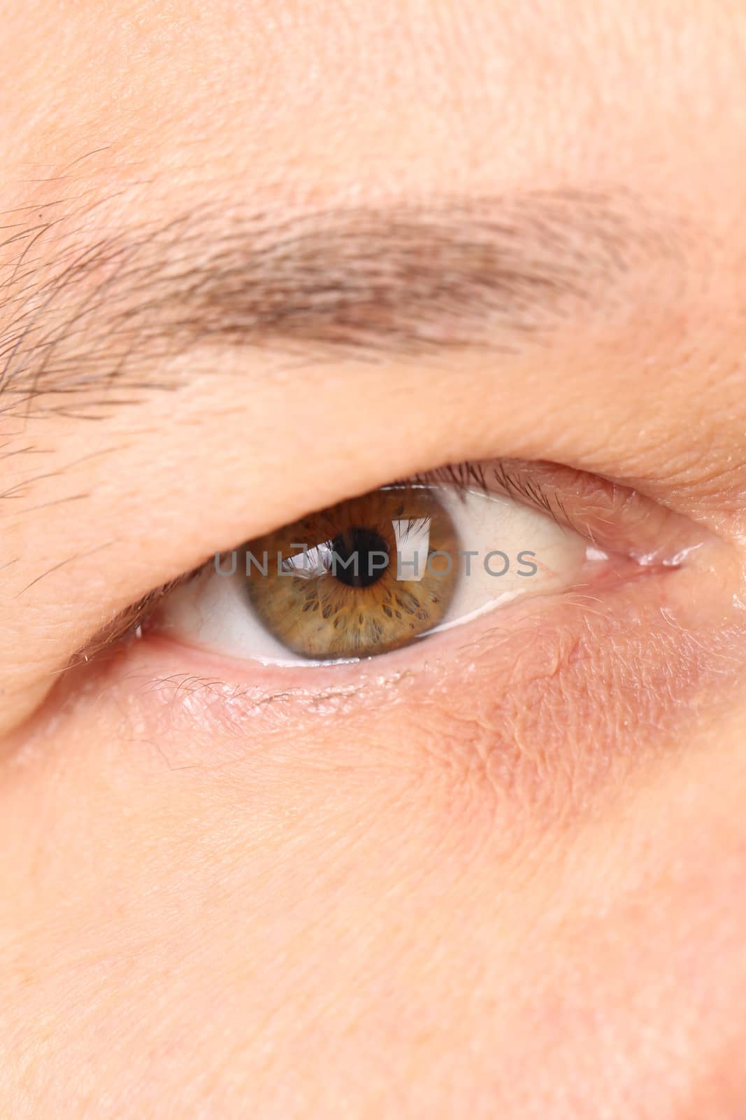 Light brown male eye. by indigolotos