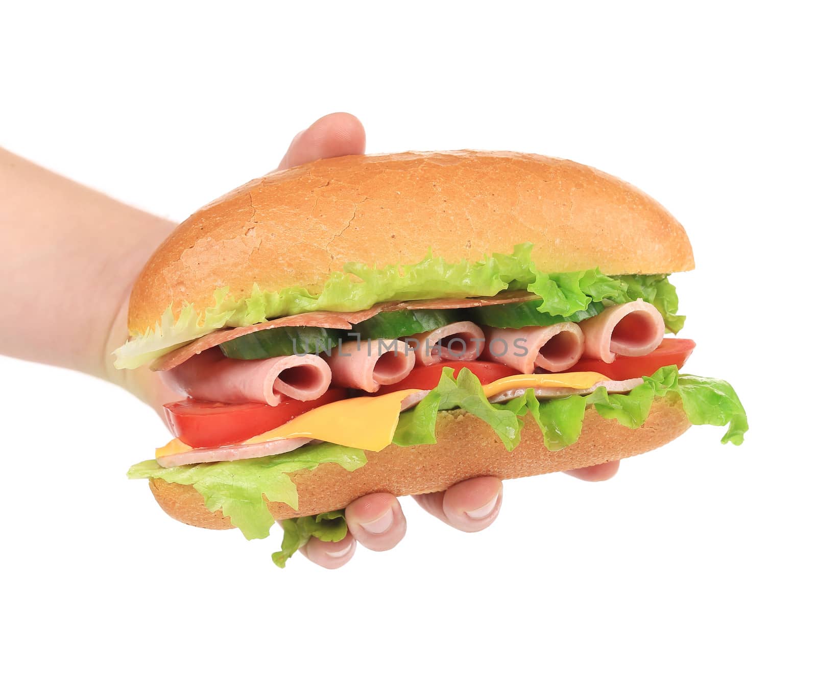 Hand holds french baguette sandwich. Isolated on a white background.