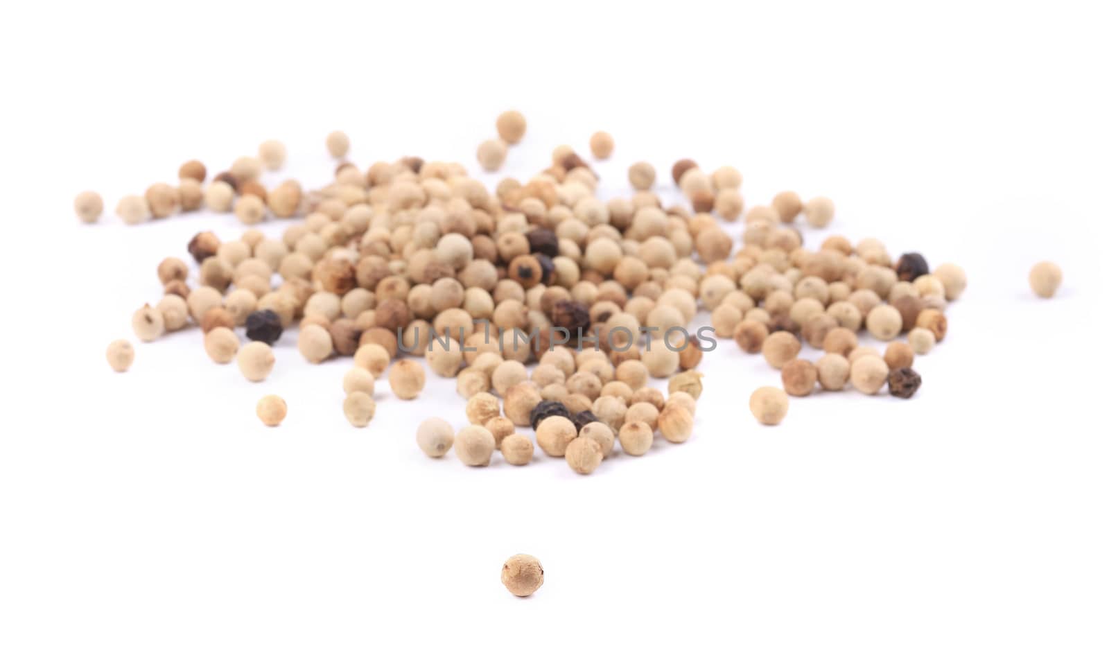 close up of white pepper. Isolated on a white background