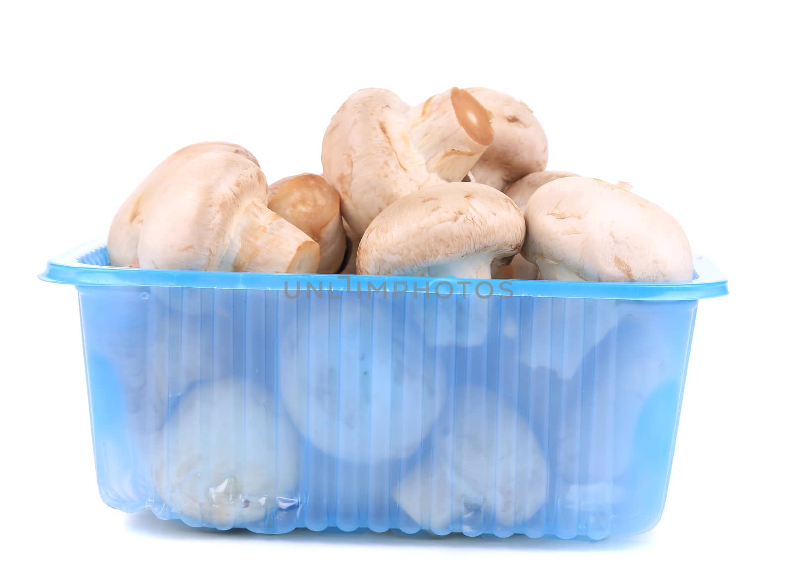 champignon mushrooms in a blue box. Isolated on a white background
