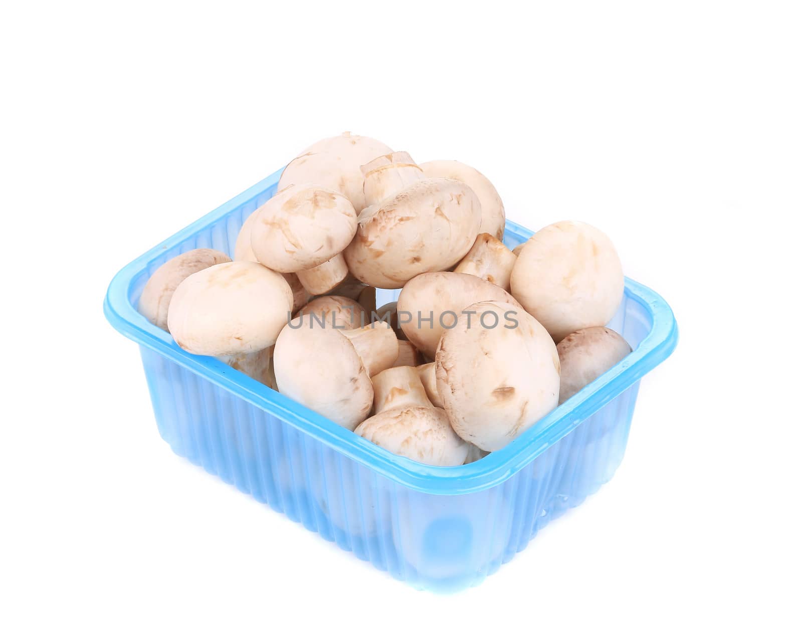 champignon mushrooms in a blue box. Isolated on a white background