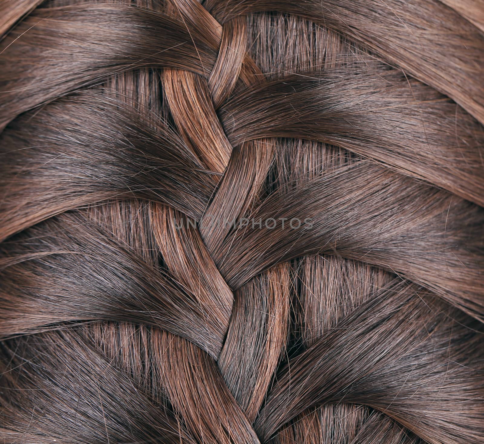 Long Brown Hair Braid. Back View. Whole background.