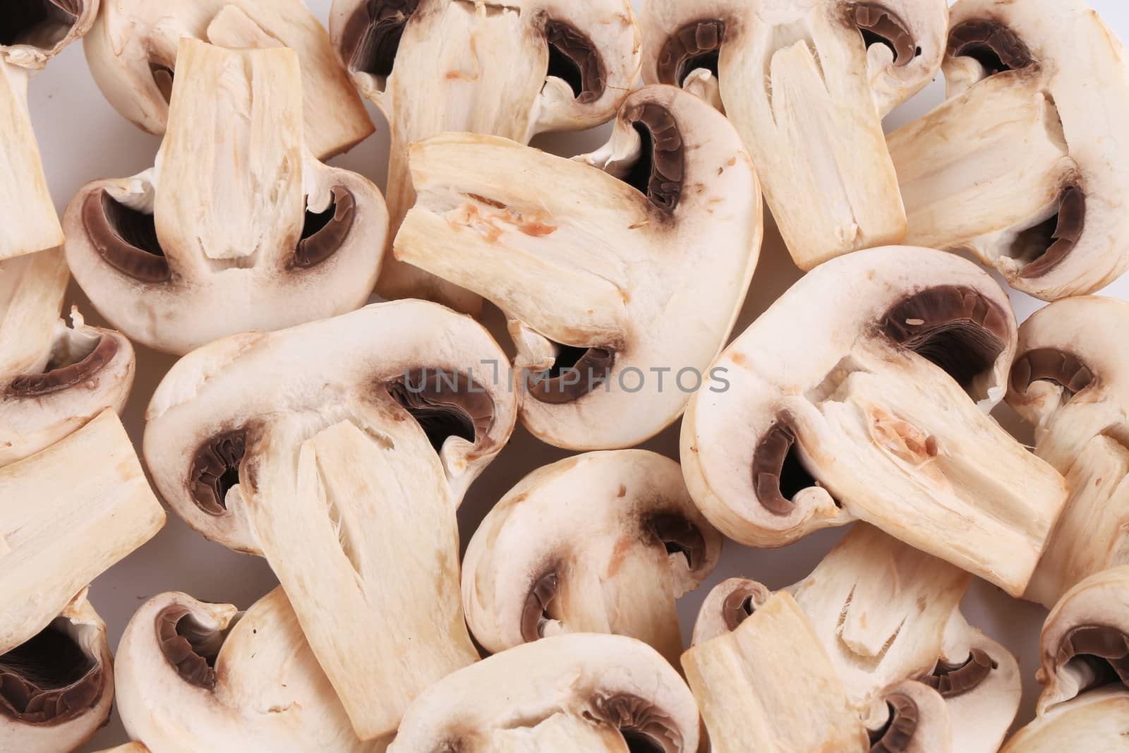 Bunch of white mushrooms close up. Whole background.