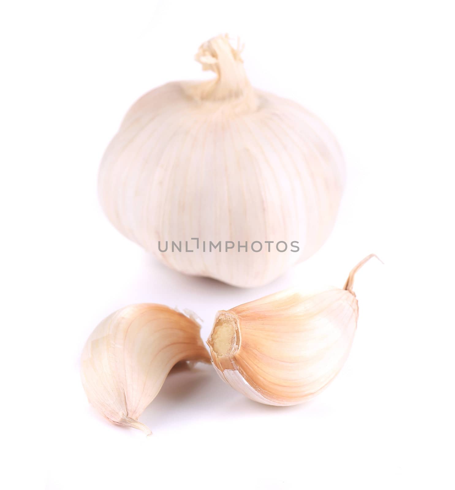 Fresh garlic whole and cloves. Isolated on a white background.