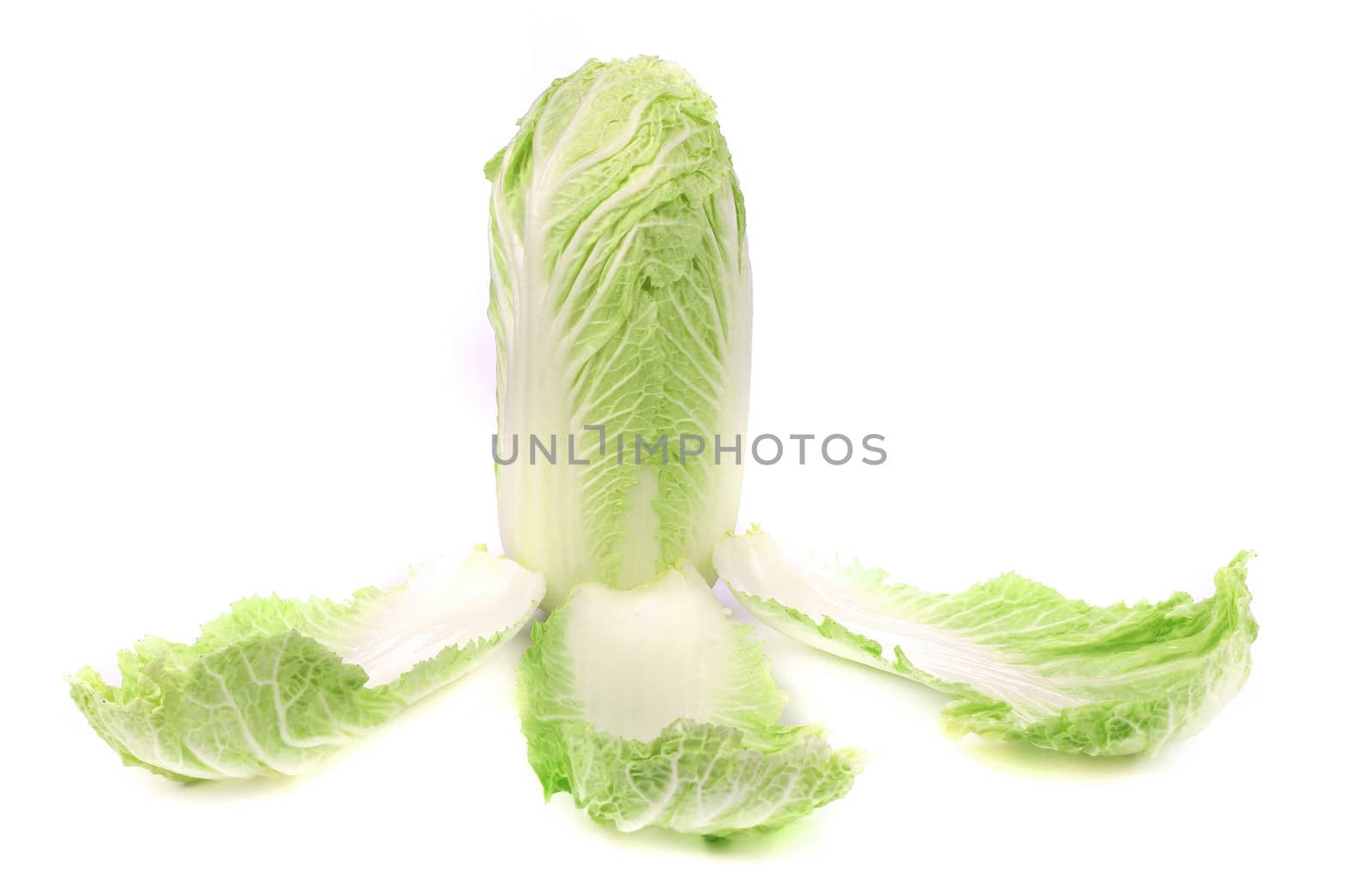 Tasty Chinese cabbage. Isolated on a white background.