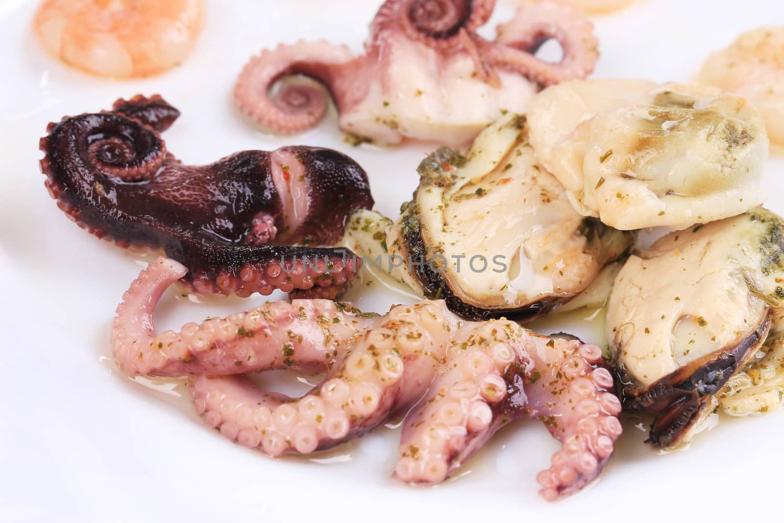 Delicious seafood on a plate. Whole background.