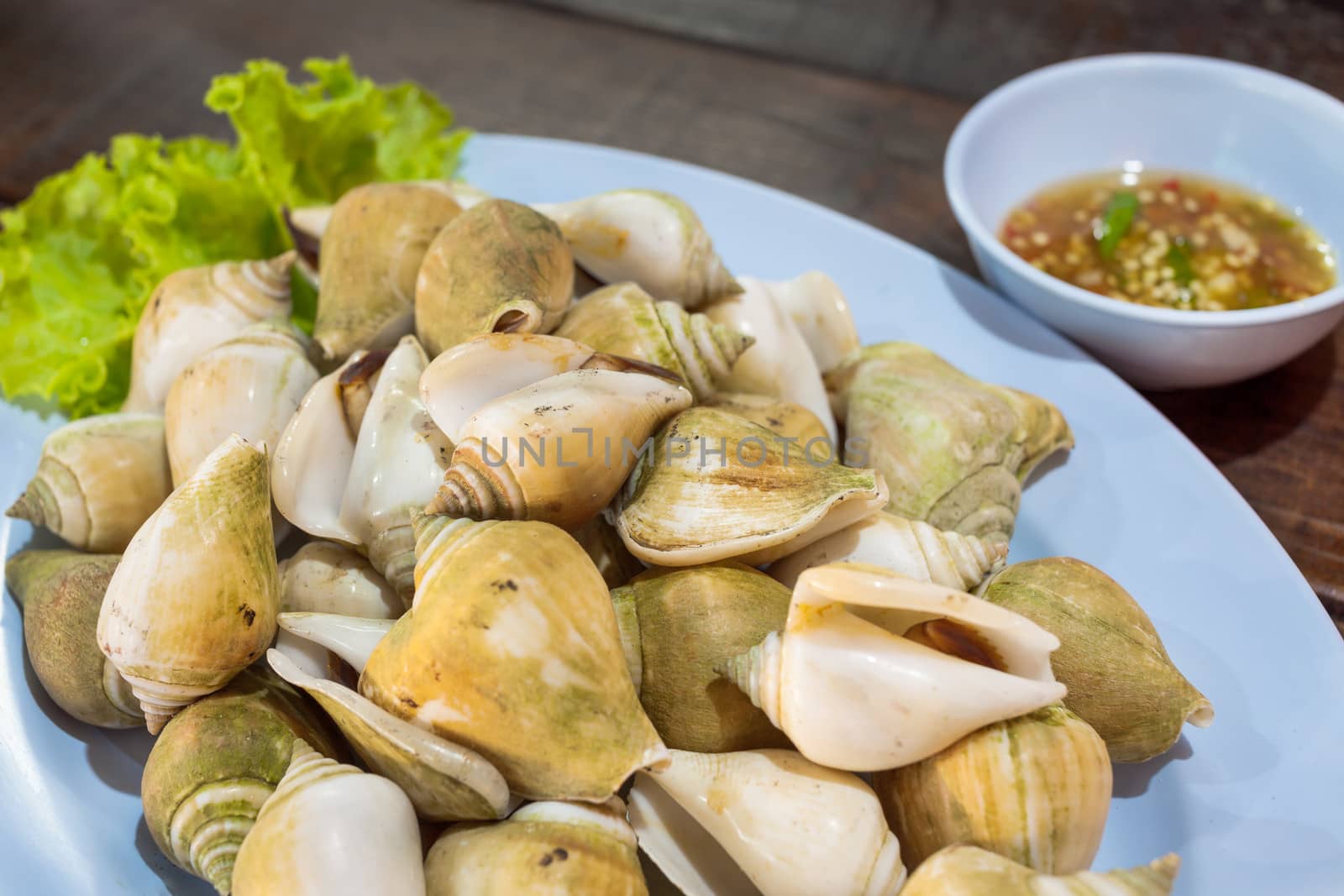 seafood grill shell