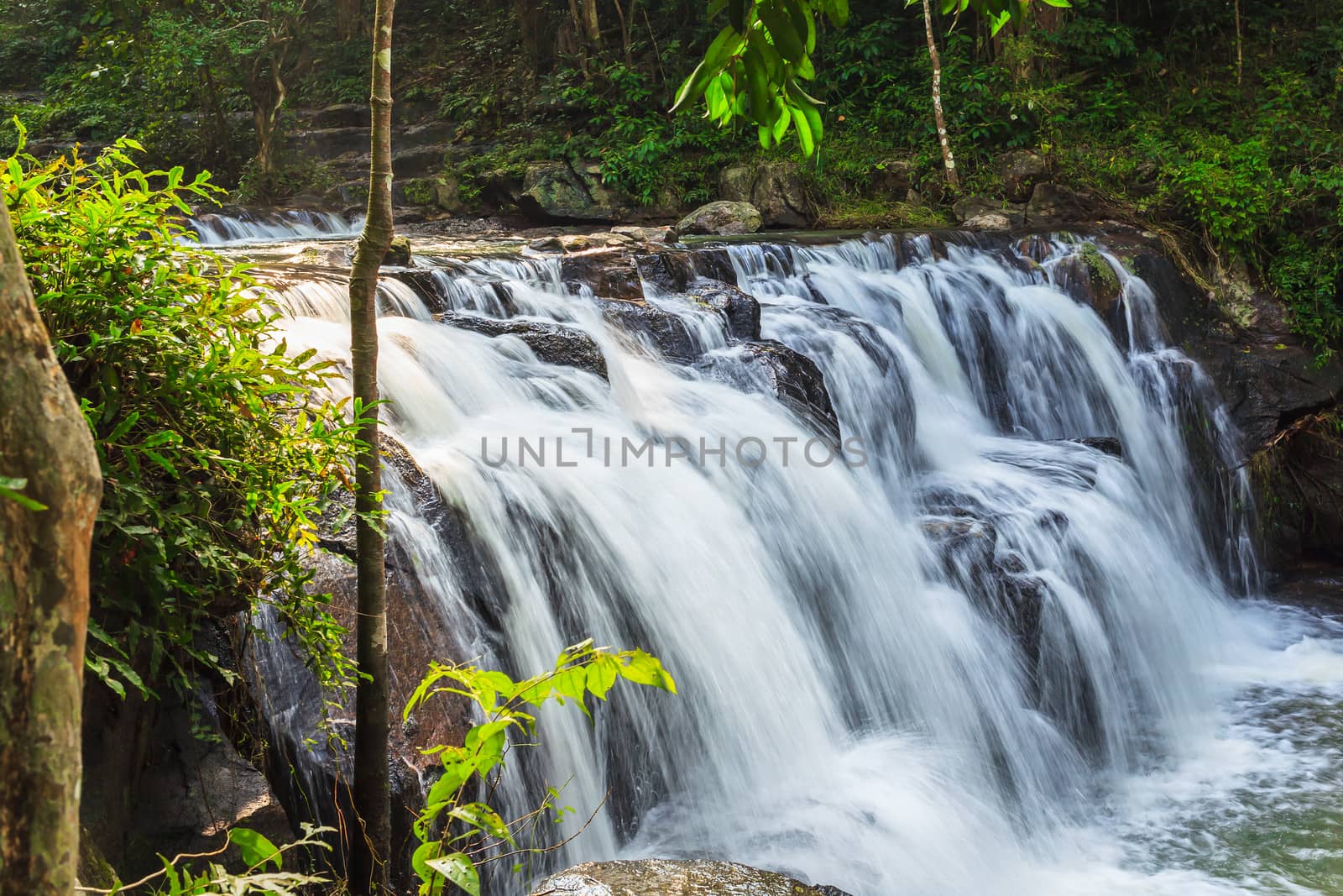 forest waterfall