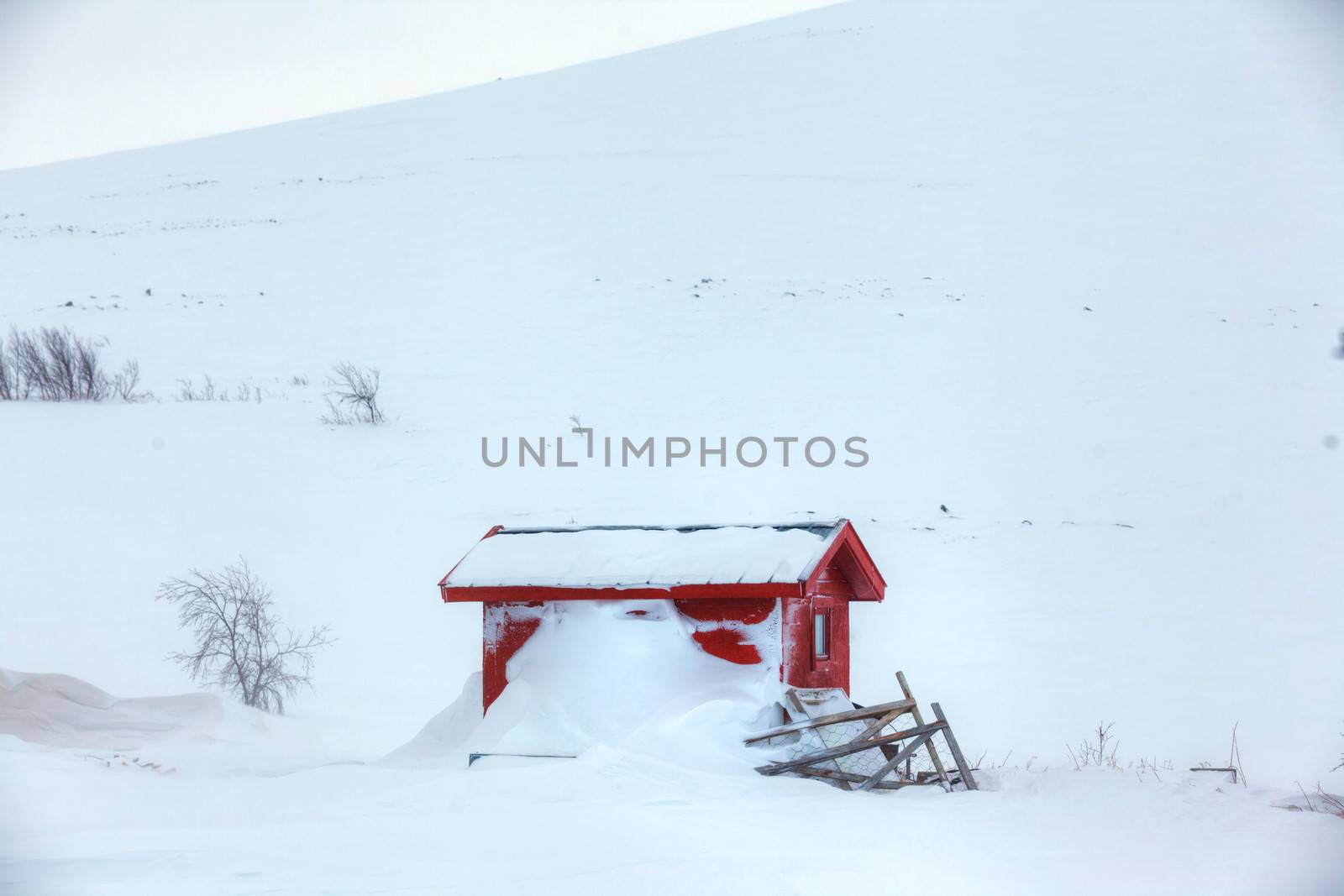 Red wooden finnish house. by maxoliki