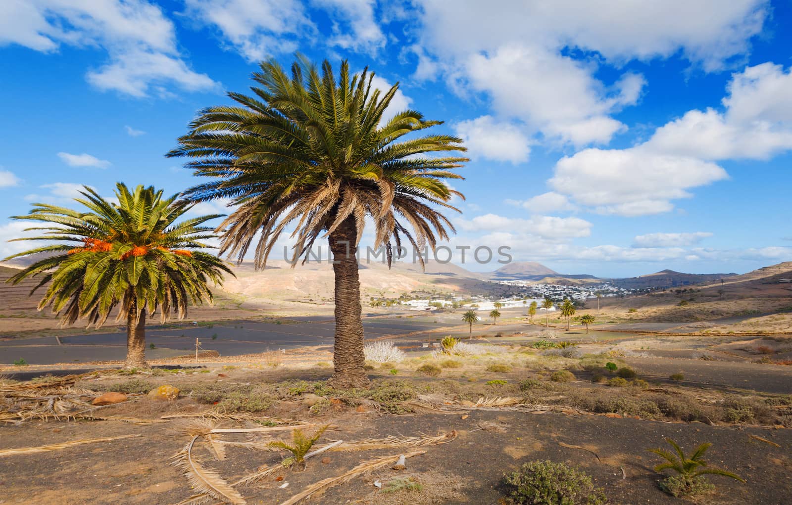 Landscape mountain in Lanzarote by maxoliki