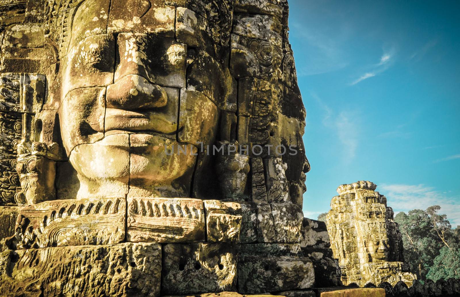 Giant tree covering Ta Prom and Angkor Wat temple, Siem Reap, Ca by weltreisendertj