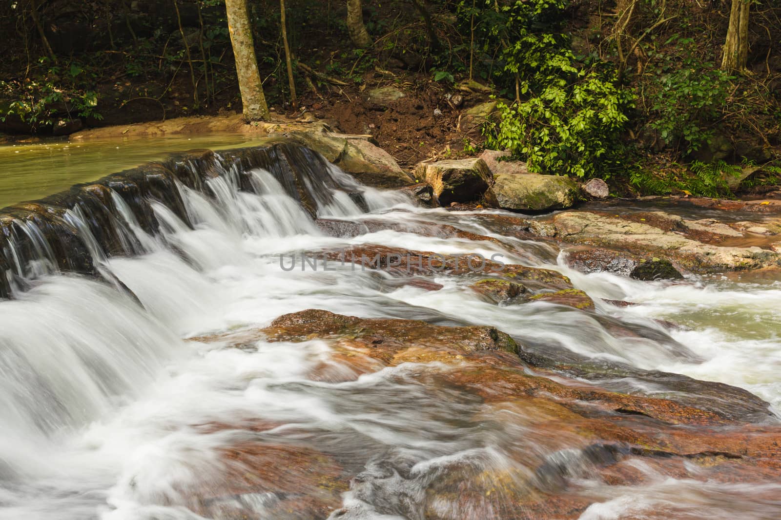 forest waterfall