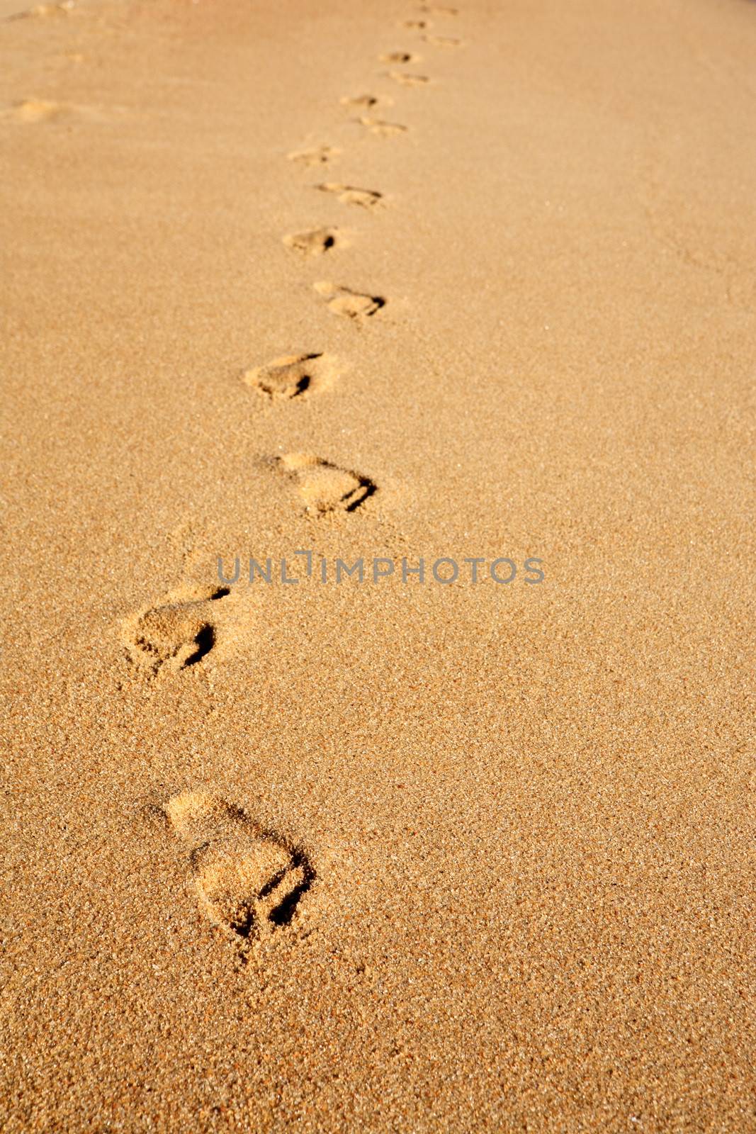 footstep on the sand of abraao beach in the beautiful island of ilha grande near rio de janeiro in brazil