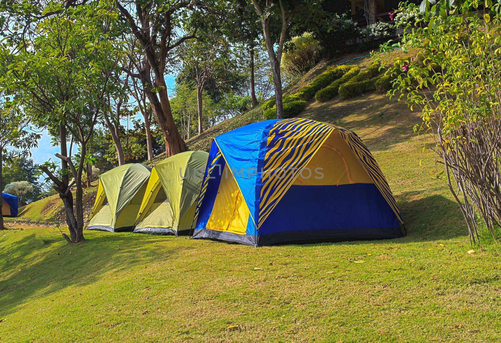 Camping tents in the forest
