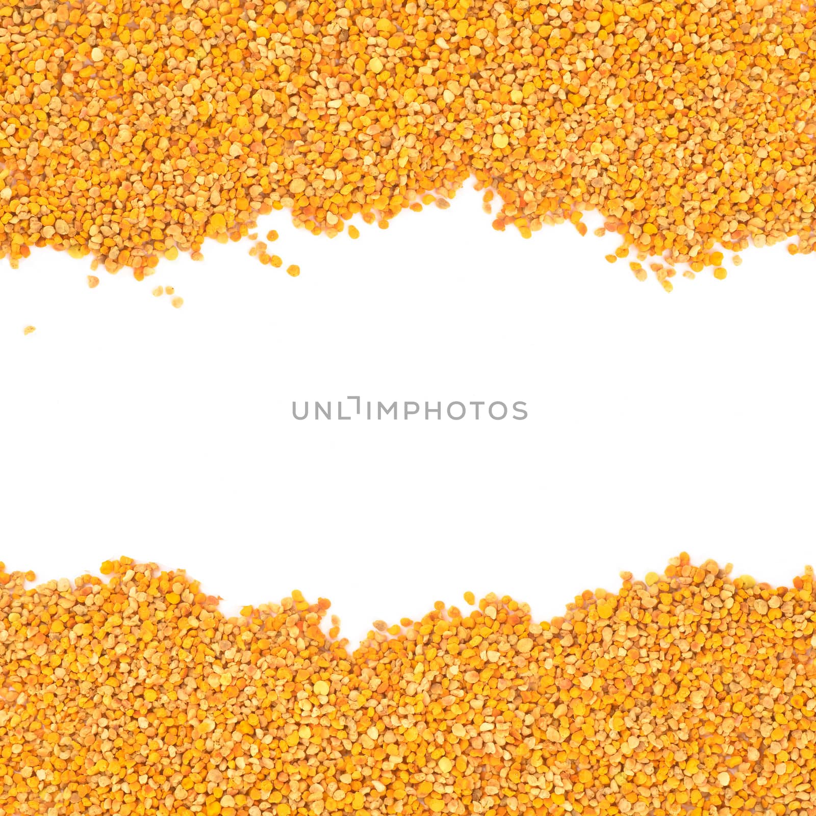 Bee pollen grains background by Carche