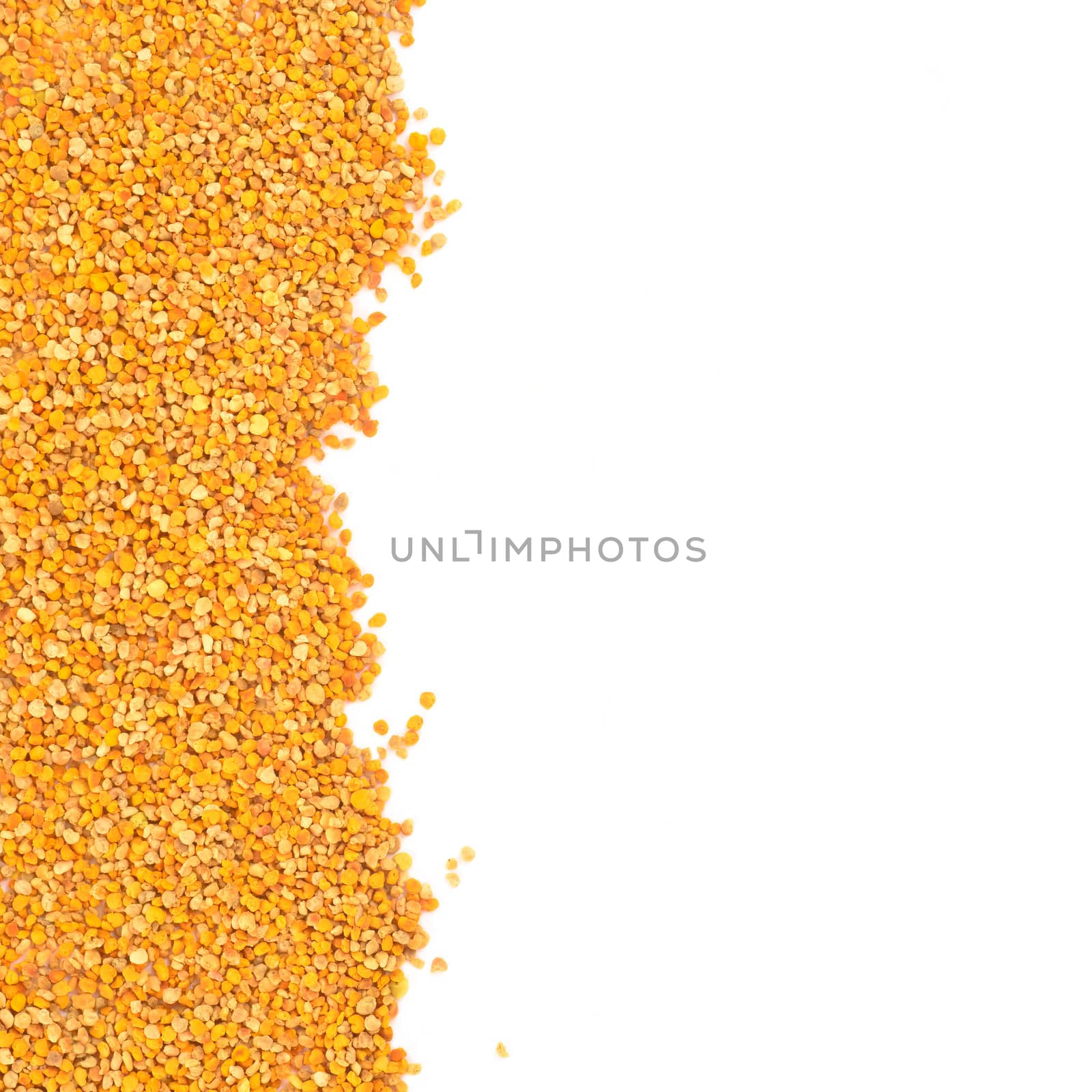 Bee pollen grains with blank space for text