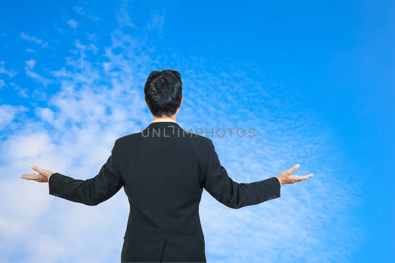back view of businessman behind and presenting with blue sky