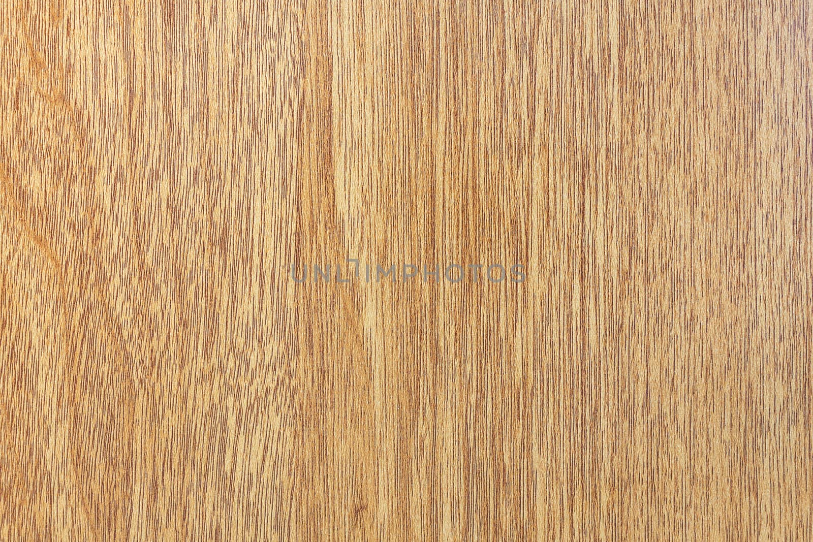 Texture of wood background closeup
