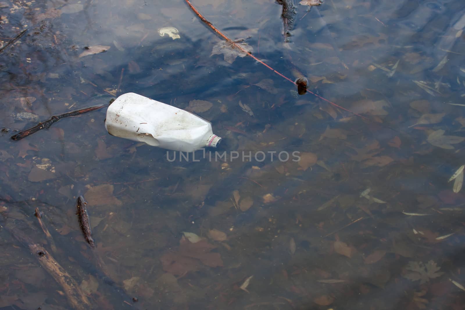 Bottle floating in a pond by Coffee999