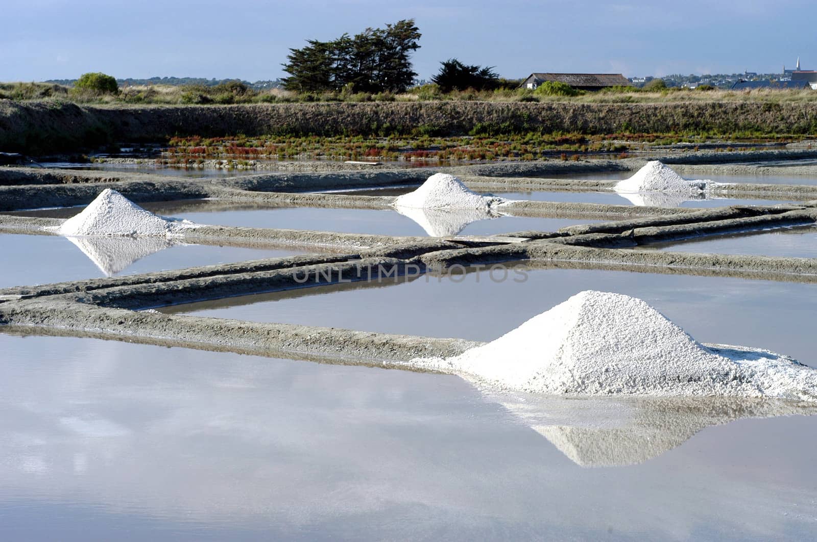 Salt pans of Guerande in the Loire-Atlantique department