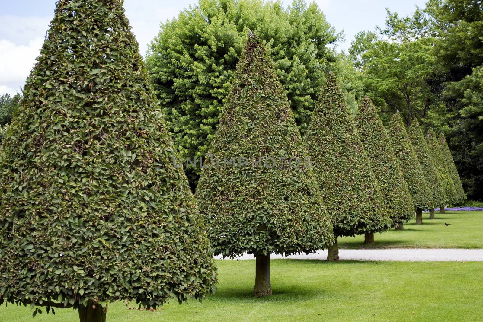 Garden of the abbey of Valloires in France