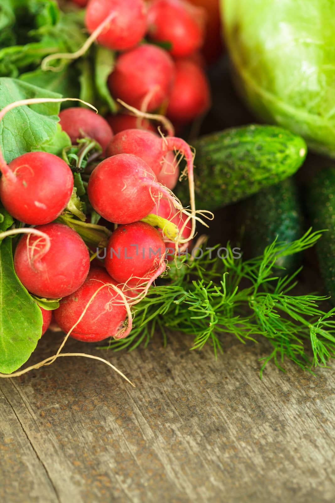 Fresh vegetables by oksix