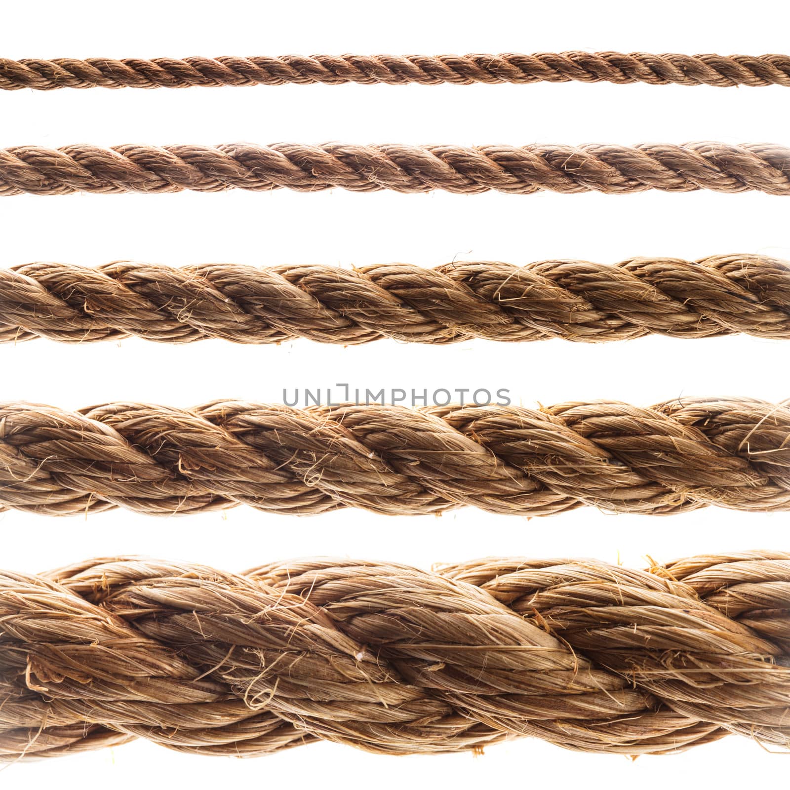 Collage of various thickness rope isolated on white