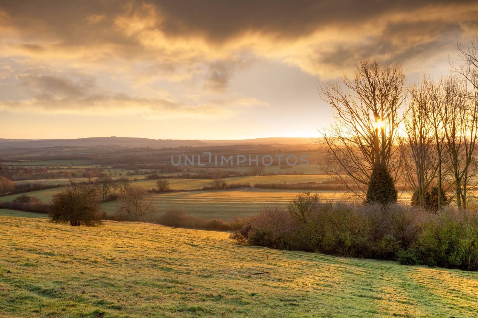 Farmland near Chipping Campden, Cotswolds, Gloucestershire, England.