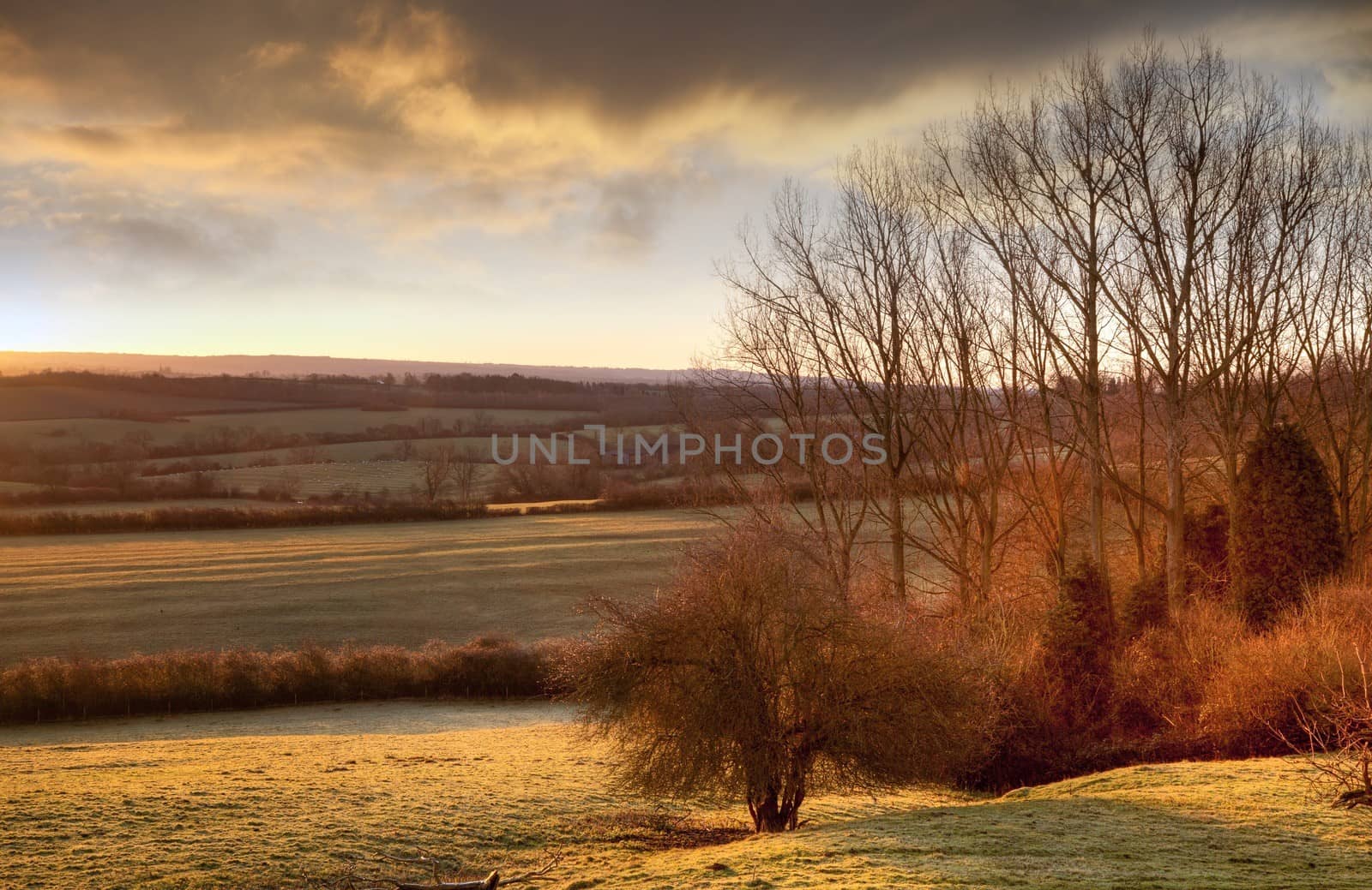 Farmland near Chipping Campden, Cotswolds, Gloucestershire, England.