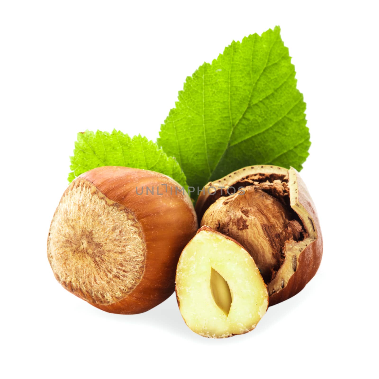 Hazelnuts with shell and green leaf isolated