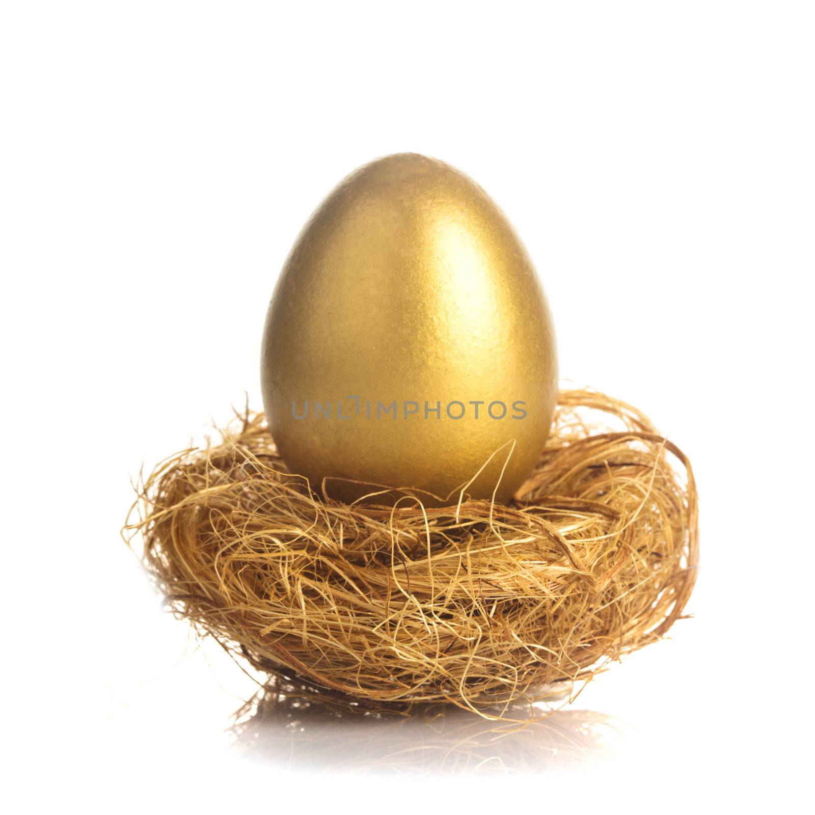 One golden eggs in the nest isolated on white