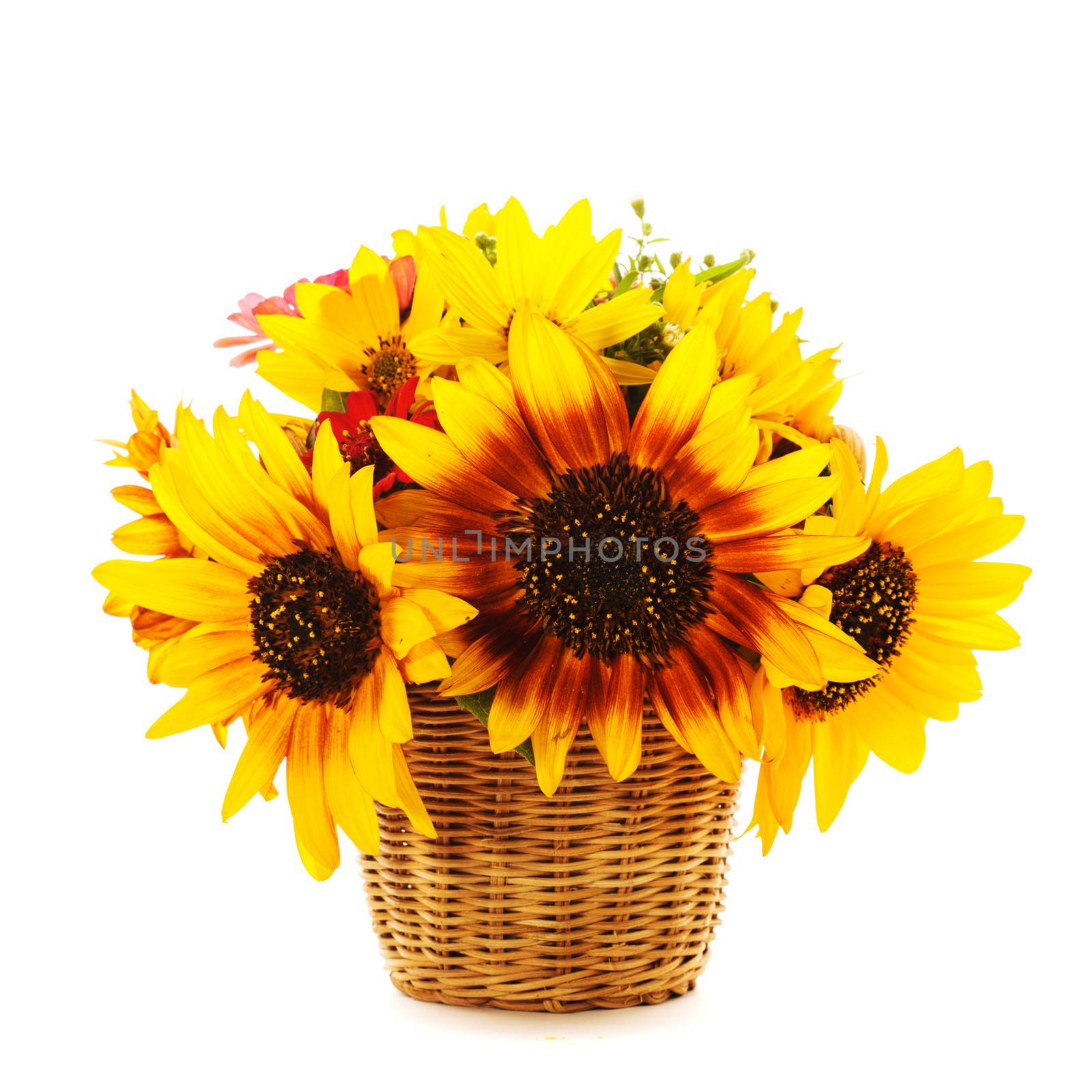 sunflowers in basket isolated by oksix