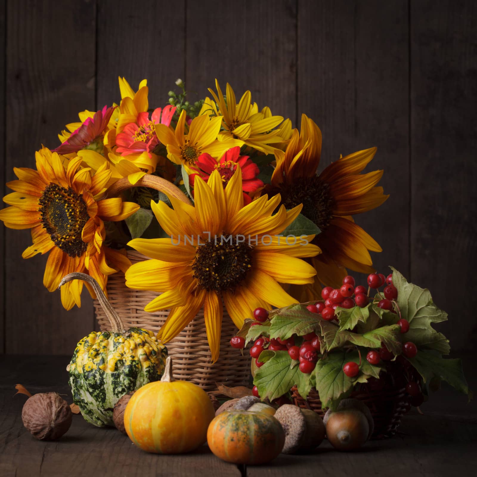 Still life in colours of autumn by oksix