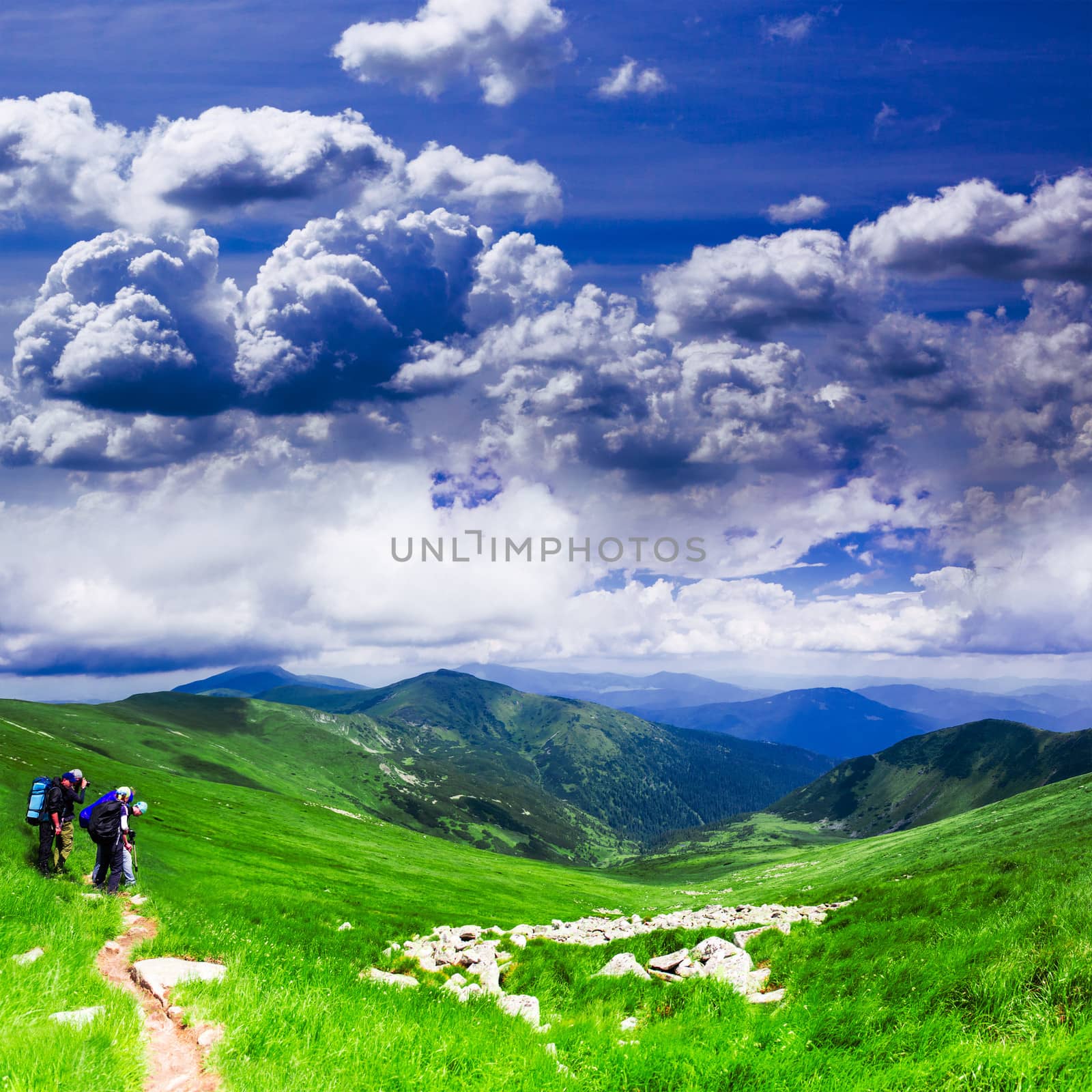 Panoramic view of Carpathians - summer meadow in mountains