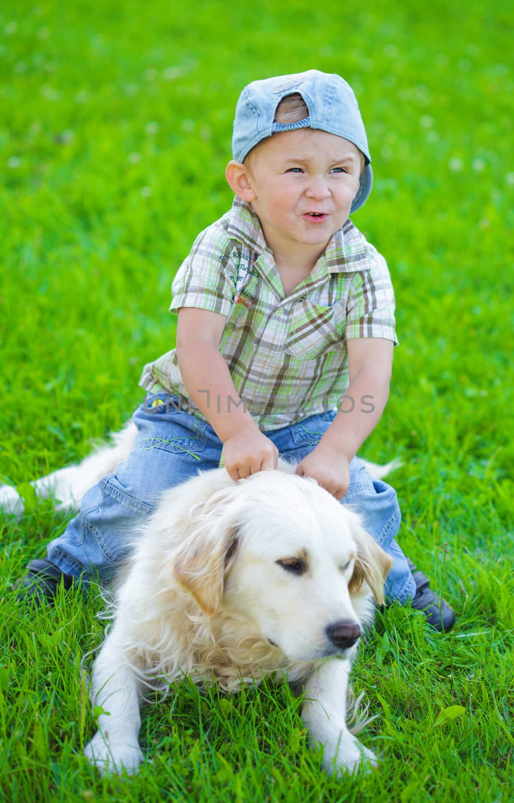 Cute two years blonde boy with golden retriever on the grass