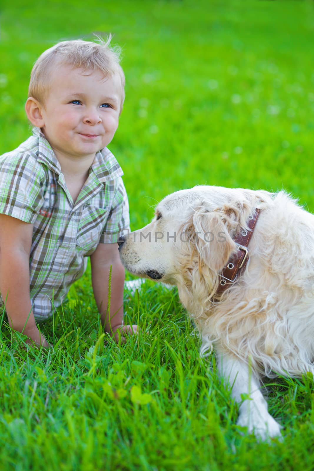 Cute two years blonde boy with golden retriever on the grass