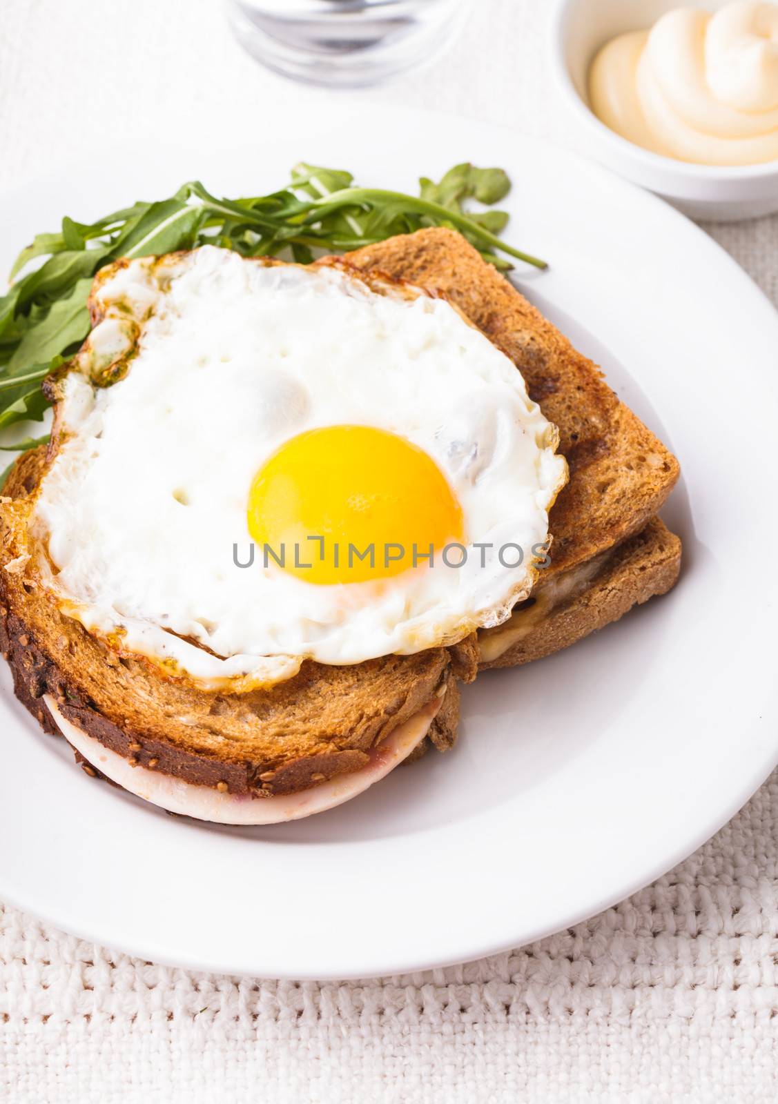 Croque Madame - sandwich with ham, cheese and fried egg