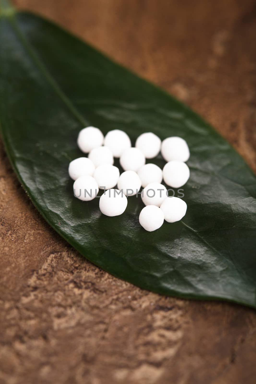 Homeopathy pills on the green leaf closeup