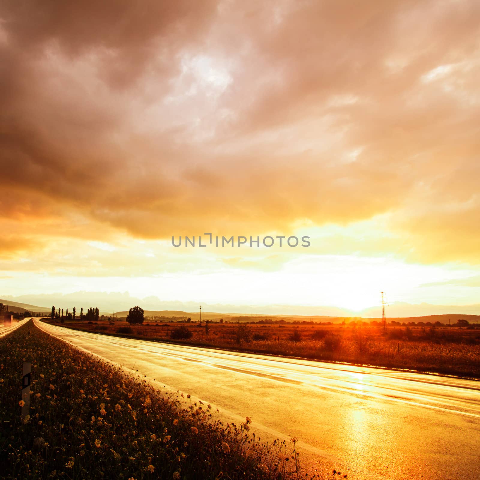 Wet road after rain and sunset over fields