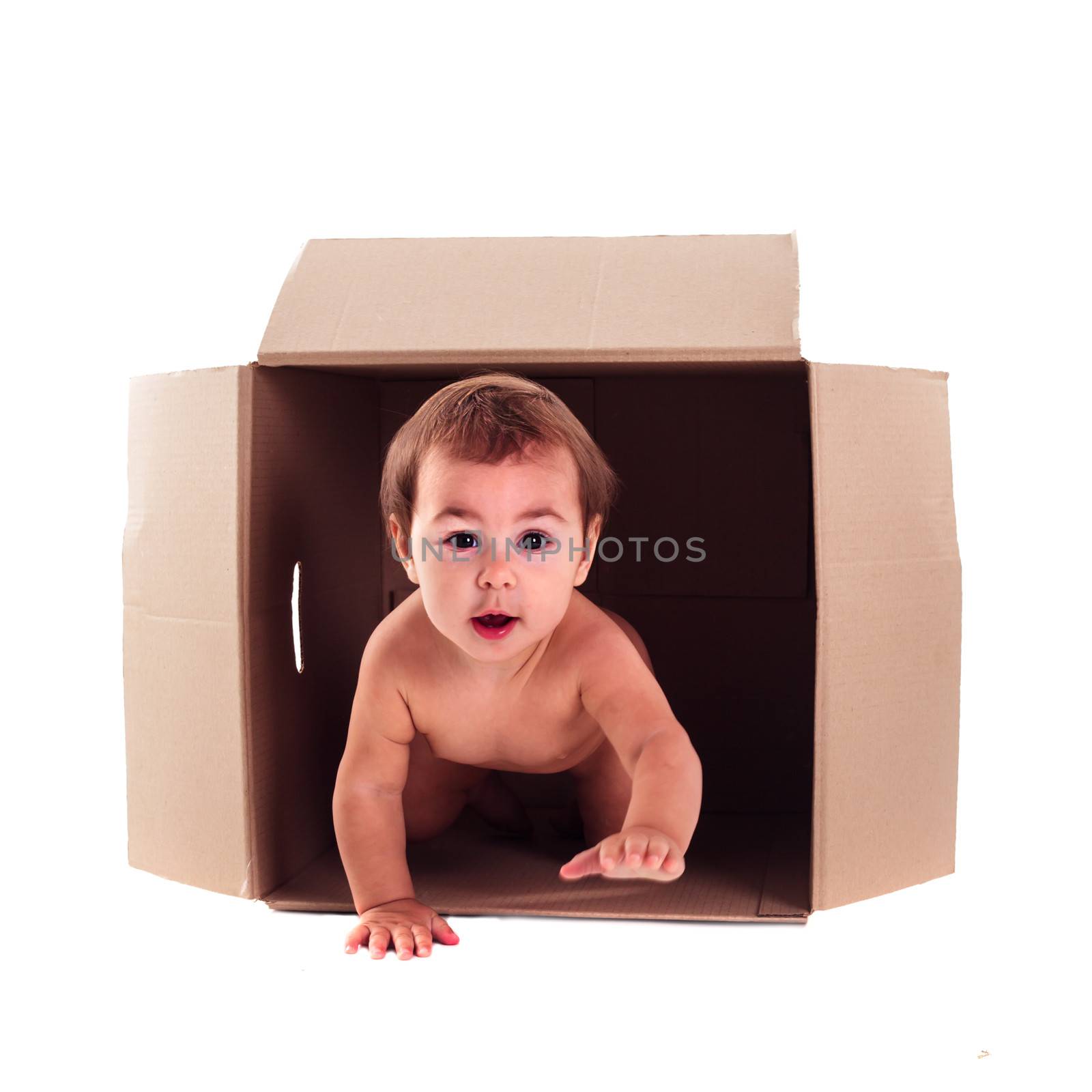 A small child (baby) crawls out of the box isolated